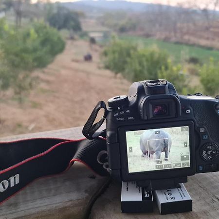 Letaba River Studio Apartment تزانين المظهر الخارجي الصورة