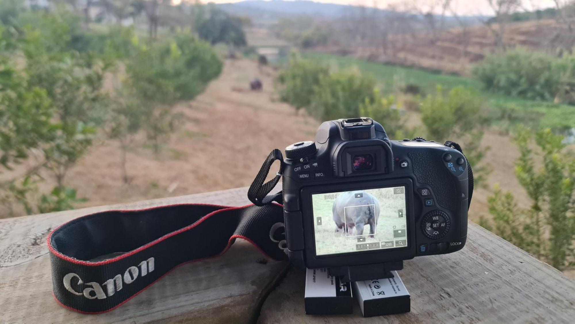 Letaba River Studio Apartment تزانين المظهر الخارجي الصورة